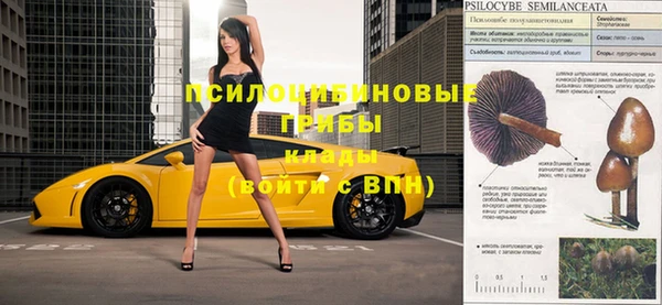 соль курить ск Дмитриев