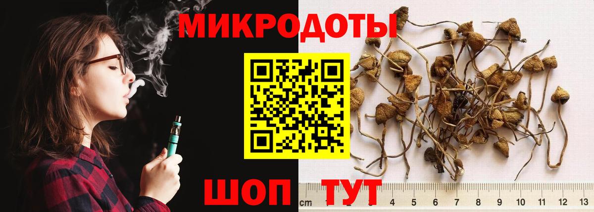 Псилоцибиновые грибы Cubensis  Вход с VPN  Азнакаево 